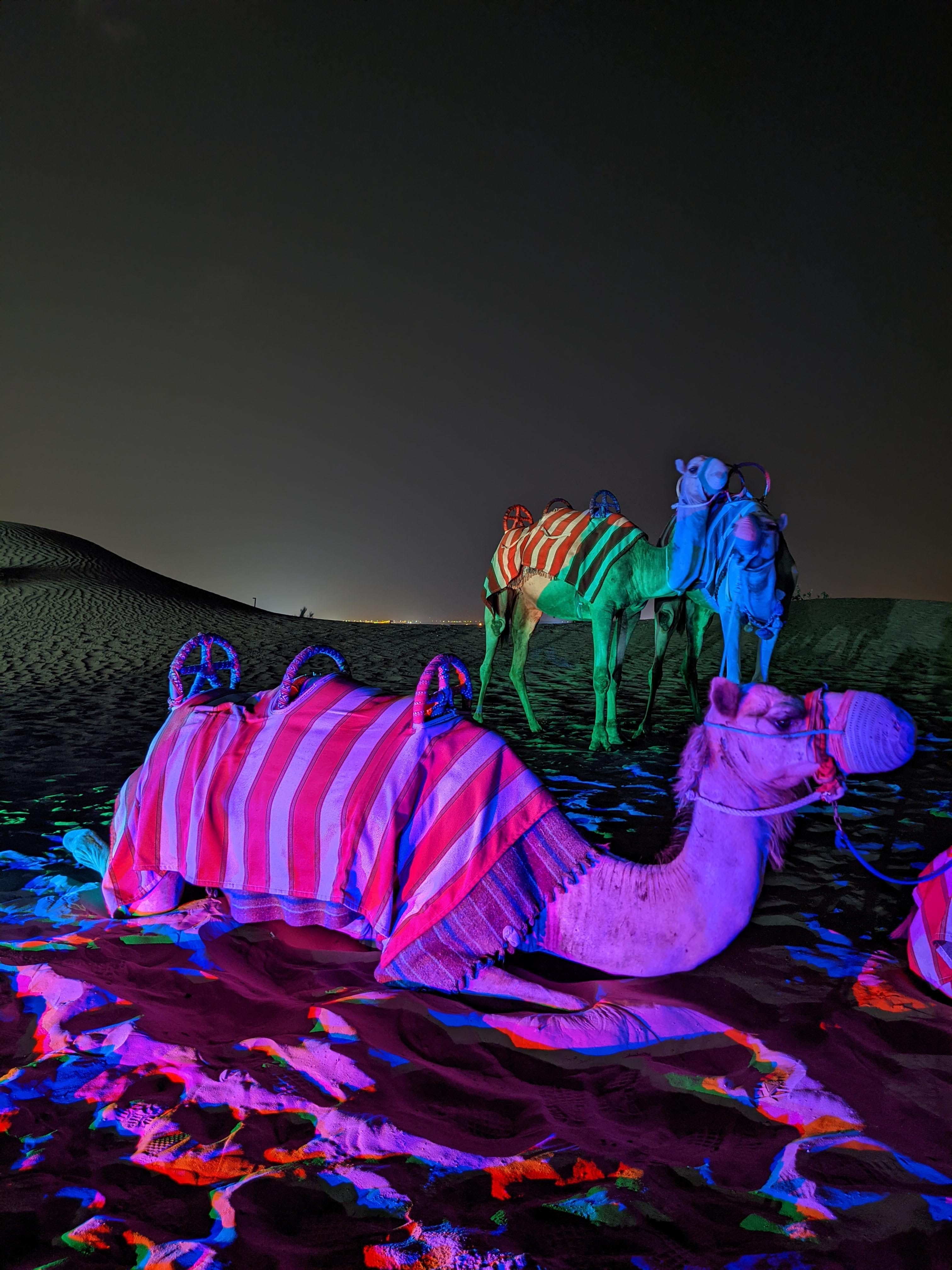Haiiileen’s Haiii on Art: United Arab Emirates (2021) exploring light and reflection across Dubai and Abu Dhabi architecture.